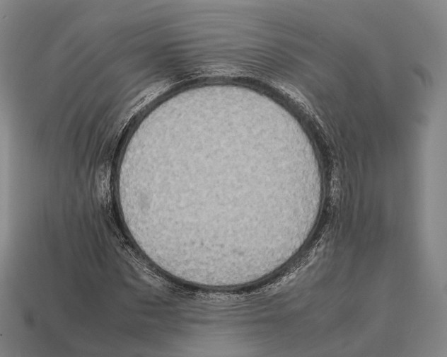 X0000113110873200909251050