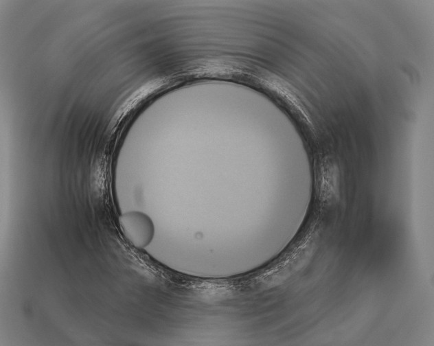 X0000113110874200909251050