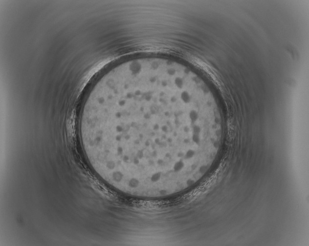 X0000113110875200909251050