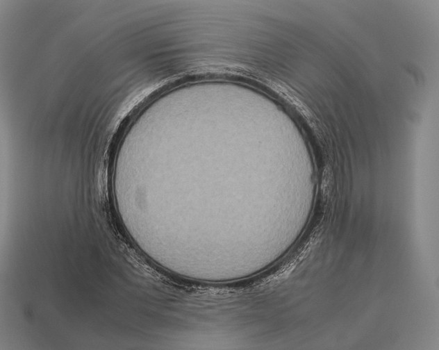X0000113110877200909251050