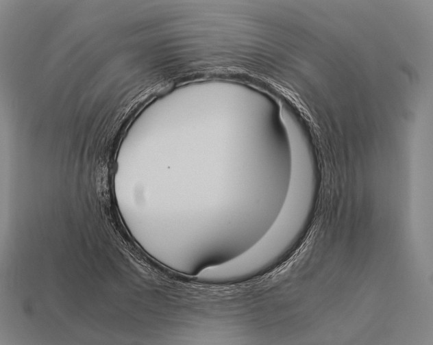X0000113110881200909251050