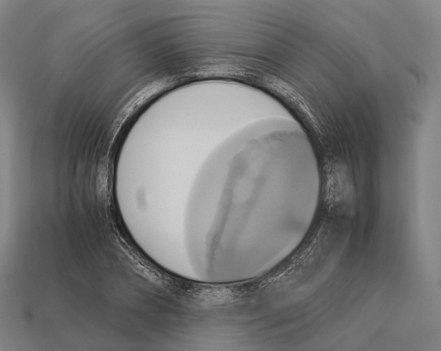 X0000113110882200909251050