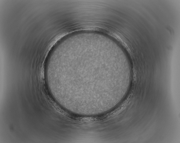 X0000113110883200909251050
