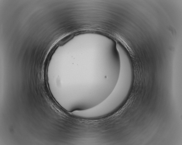 X0000113110884200909251050