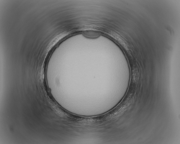X0000113110885200909251050