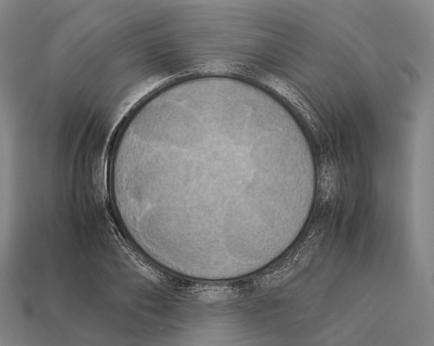 X0000113110886200909251050