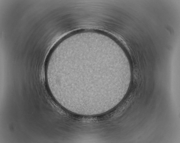 X0000113110887200909251050