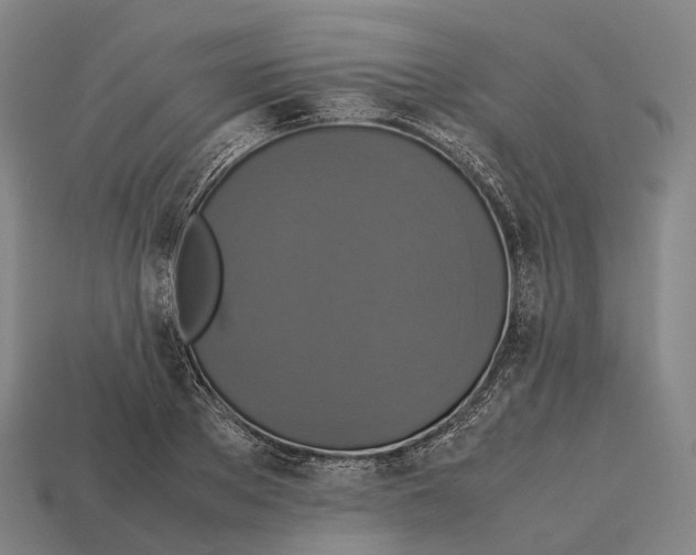 X0000113110889200909251050