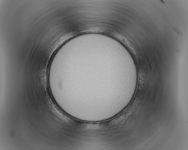 X0000113110890200909251050