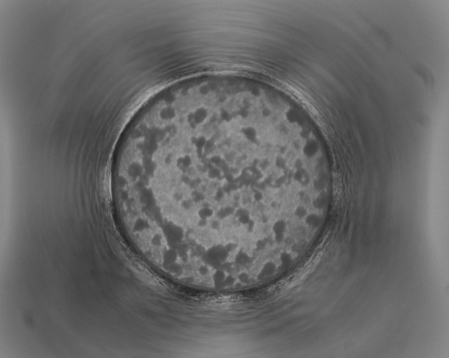 X0000113110891200909251050