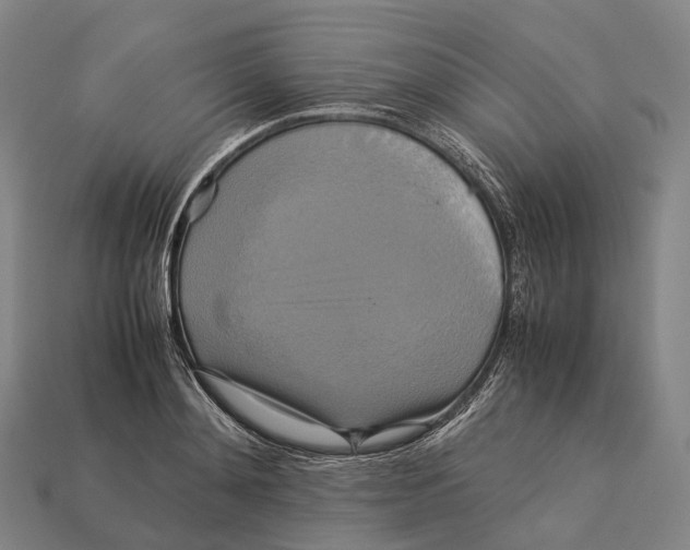 X0000113110892200909251050