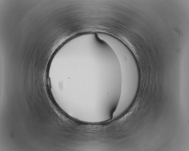 X0000113110893200909251050