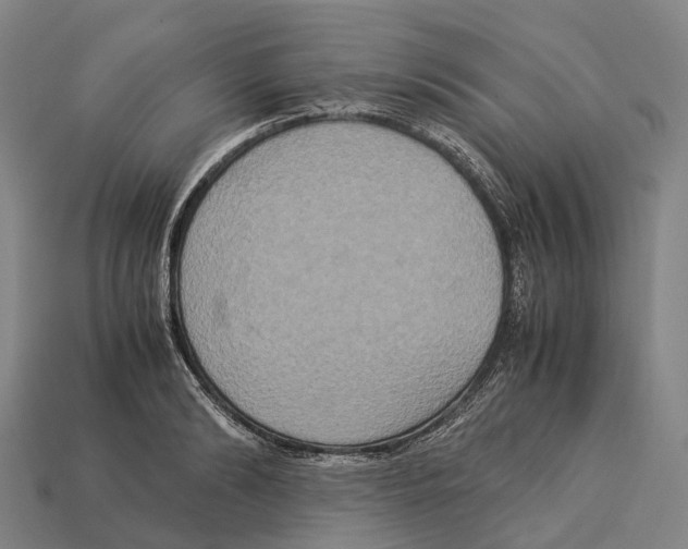 X0000113110894200909251050