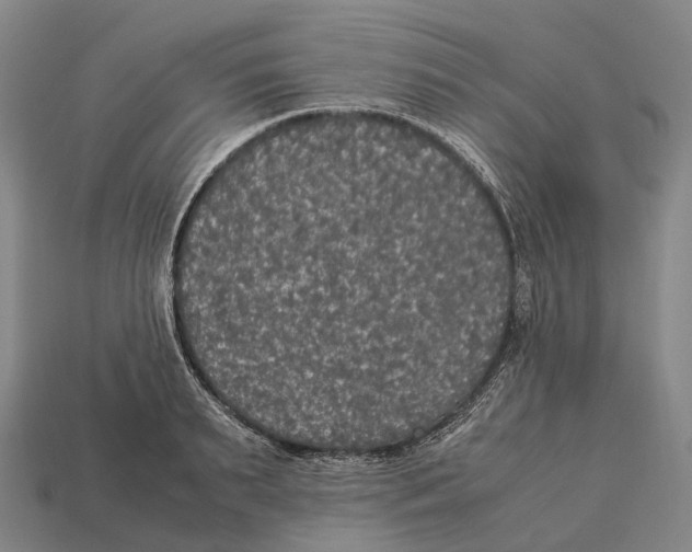 X0000113110895200909251050
