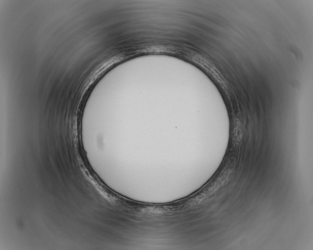 X0000113110898200909251050
