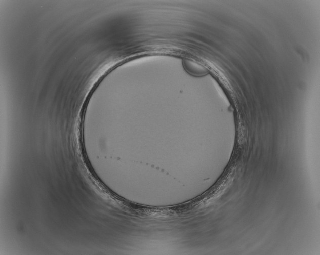 X0000113110899200909251050