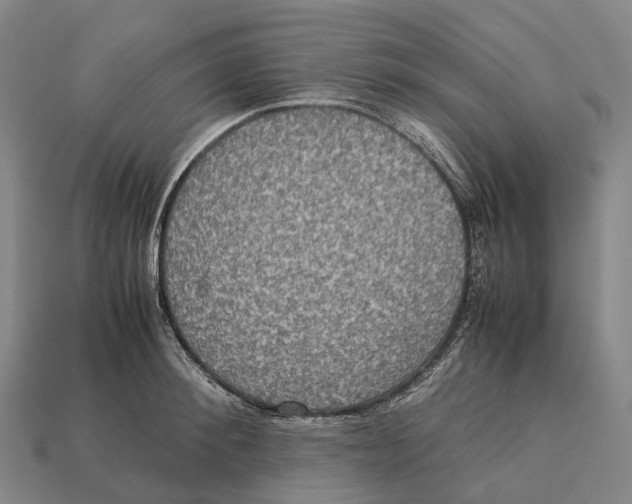 X0000113110900200909251050