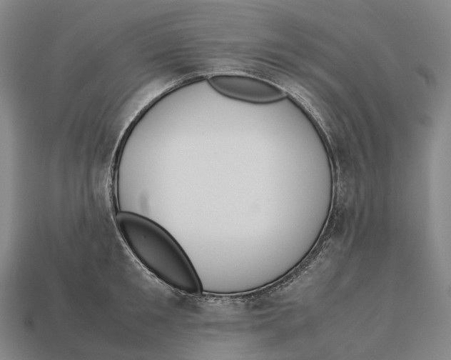 X0000113110901200909251050