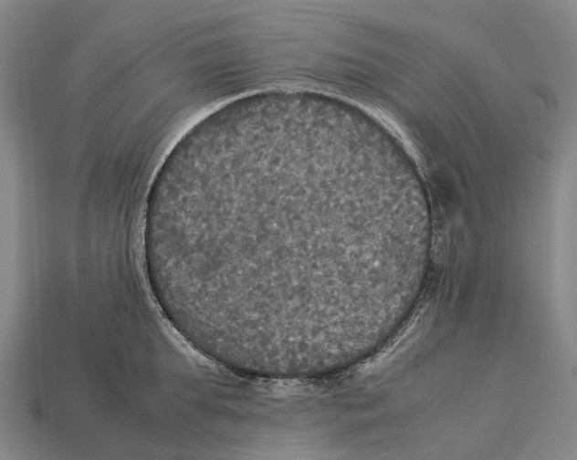 X0000113110903200909251050