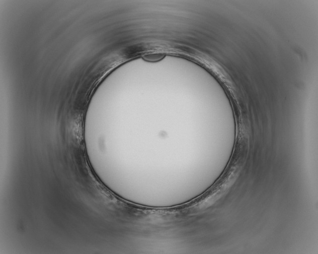 X0000113110905200909251050