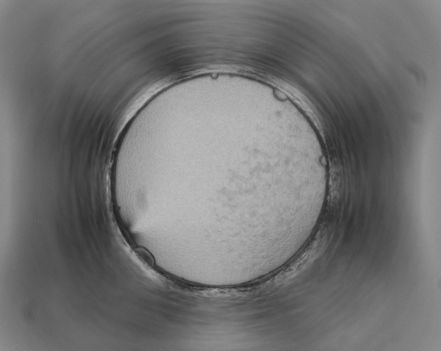 X0000113110906200909251050