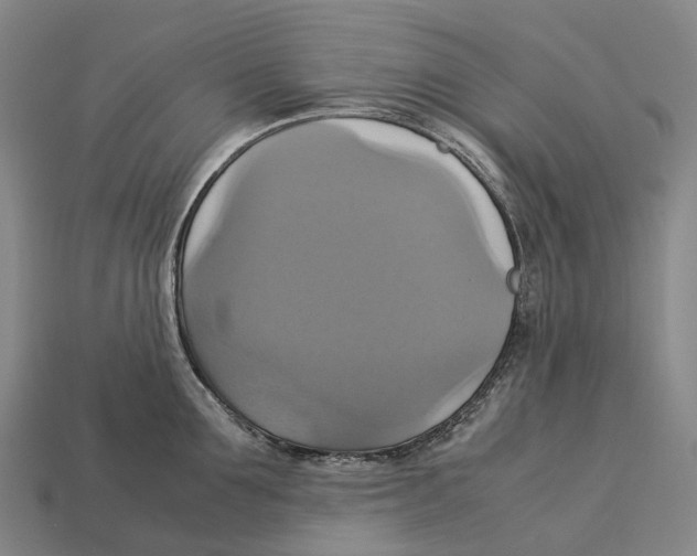 X0000113110907200909251050