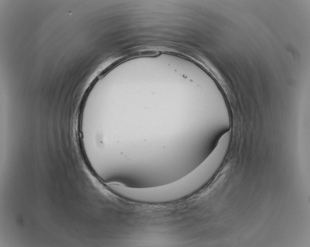 X0000113110909200909251050