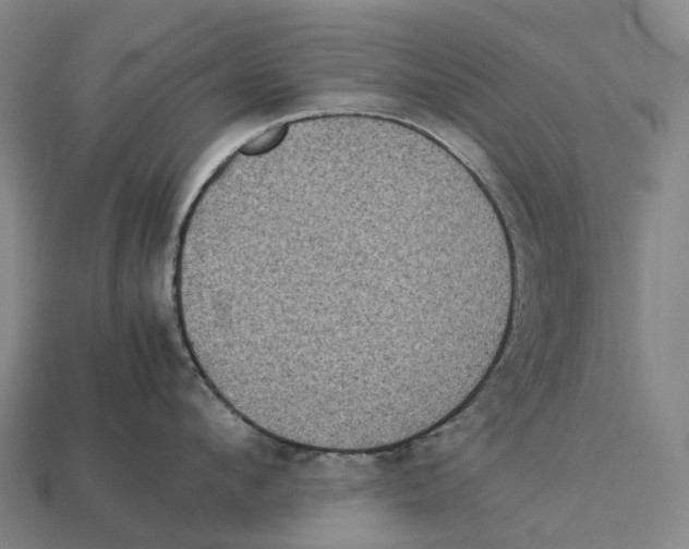 X0000113110912200909251050