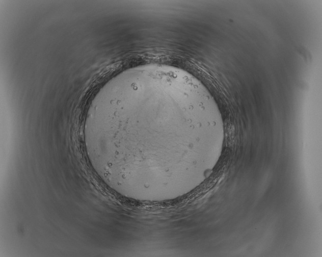 X0000113110913200909251049