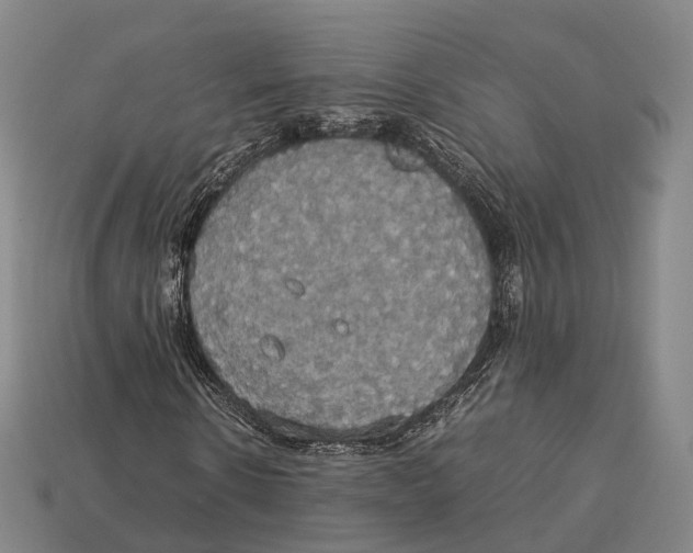 X0000113110914200909251049