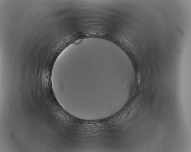 X0000113110915200909251049