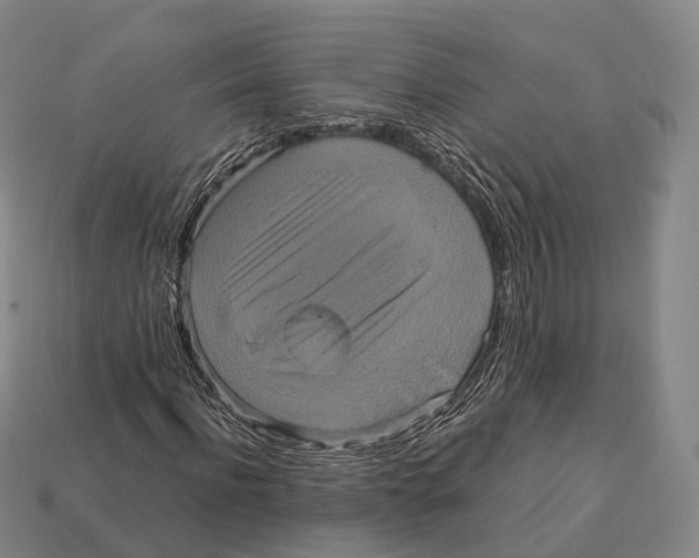 X0000113110916200909251049