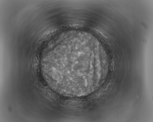 X0000113110917200909251049