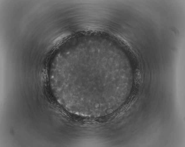 X0000113110918200909251049