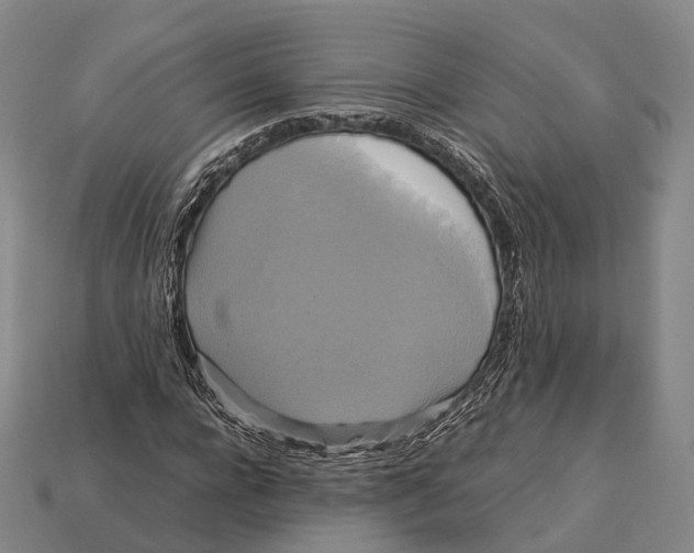 X0000113110920200909251049