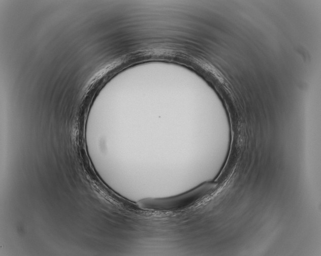 X0000113110922200909251049