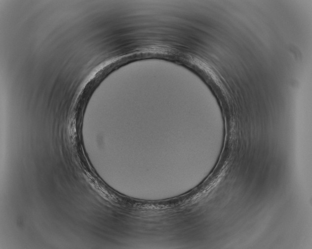 X0000113110923200909251049