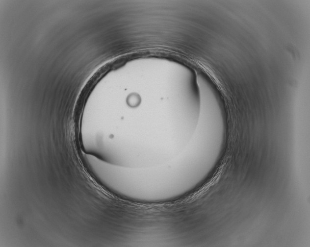 X0000113110924200909251049