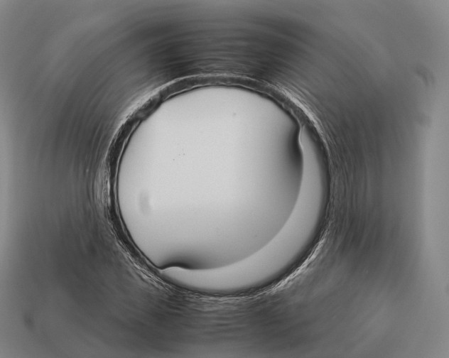 X0000113110925200909251049