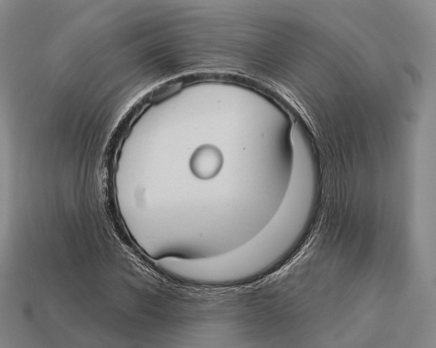 X0000113110926200909251049