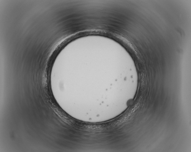 X0000113110927200909251049