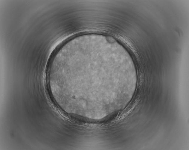 X0000113110928200909251049
