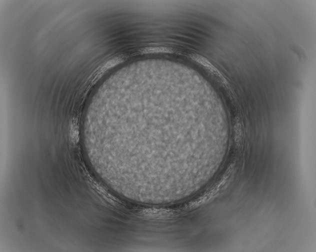 X0000113110929200909251049