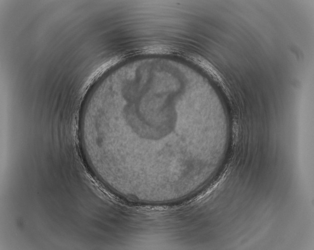 X0000113110930200909251049