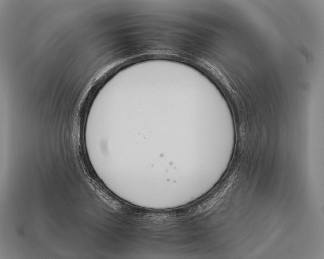 X0000113110931200909251049
