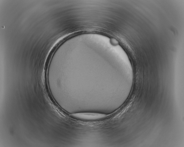 X0000113110932200909251049