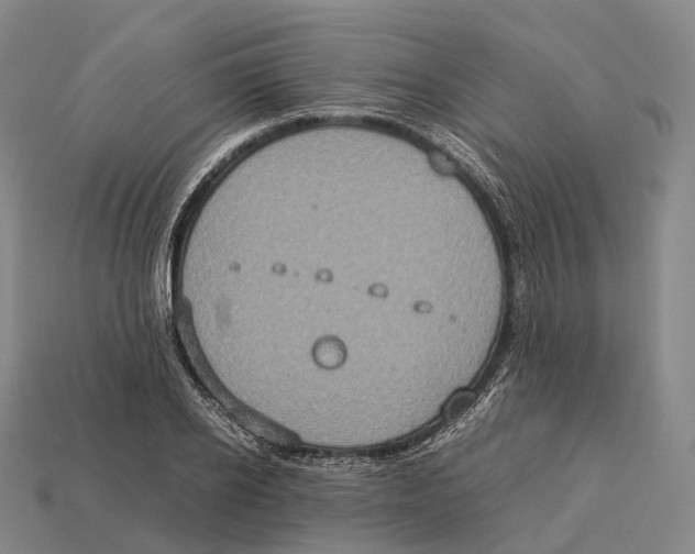 X0000113110934200909251049