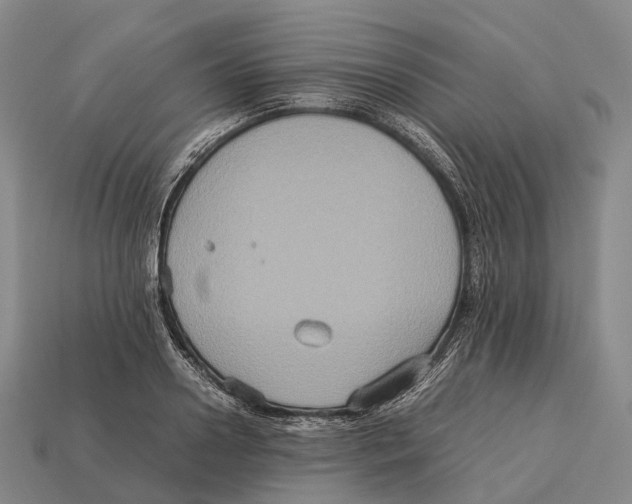 X0000113110938200909251049