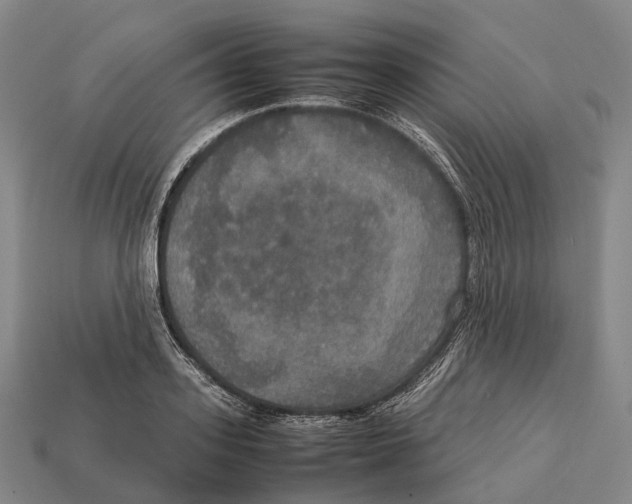 X0000113110939200909251049
