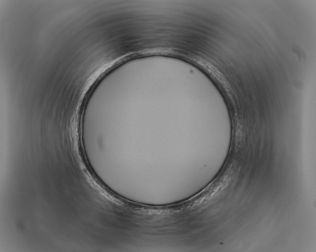 X0000113110941200909251049